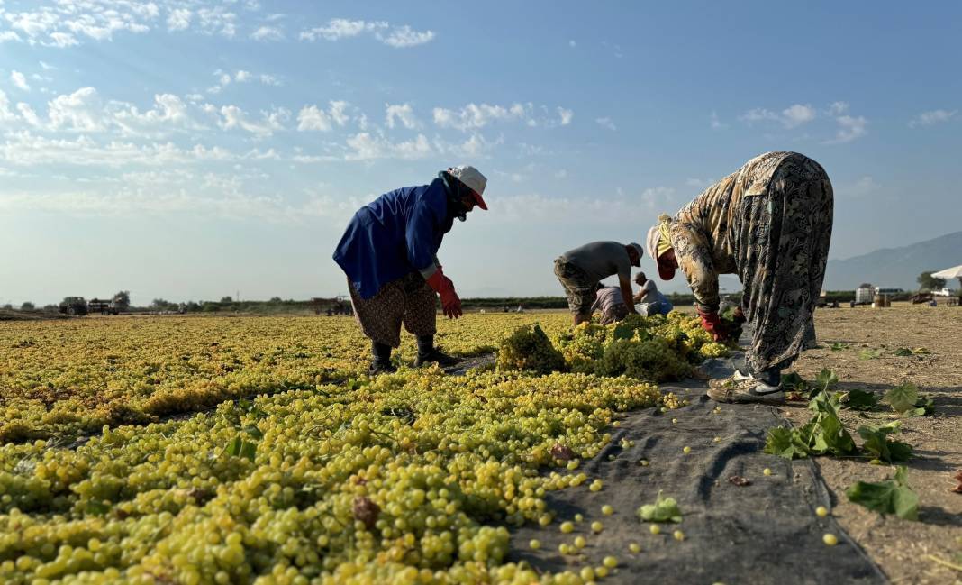 12 aylık emekte son dönemeç: 500 milyon dolar getiriyor 2